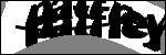 متن برای شناسایی