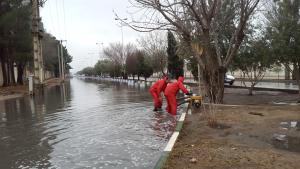 صورة مصغّرة