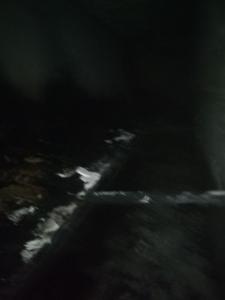 تصویر کوچک