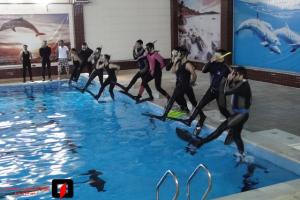 صورة مصغّرة
