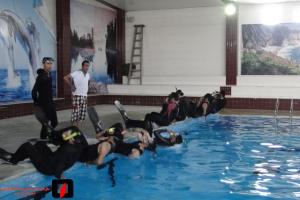 صورة مصغّرة
