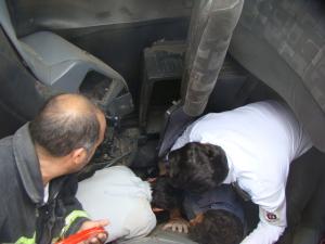صورة مصغّرة