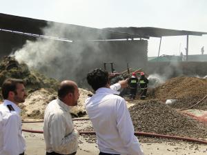 صورة مصغّرة