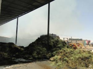 صورة مصغّرة