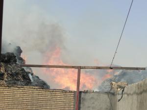 صورة مصغّرة