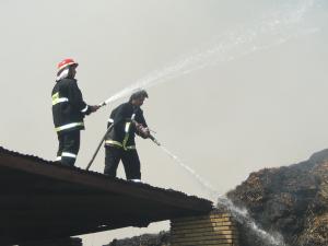 صورة مصغّرة
