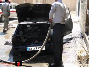 صورة مصغّرة