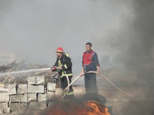 صورة مصغّرة