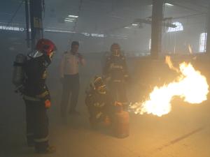 صورة مصغّرة