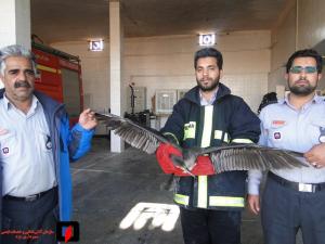 صورة مصغّرة