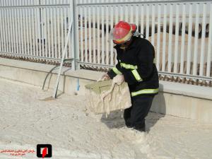 صورة مصغّرة