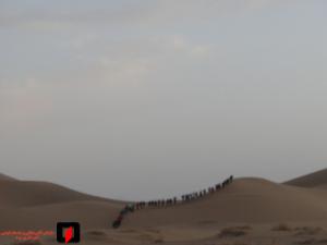 صورة مصغّرة