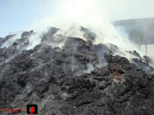 صورة مصغّرة
