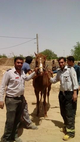 صورة مصغّرة