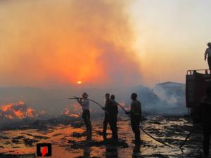 صورة مصغّرة