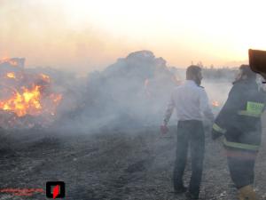 صورة مصغّرة