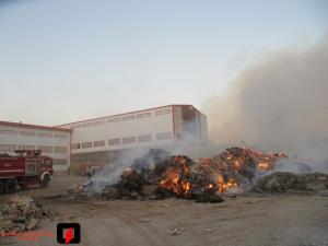 صورة مصغّرة