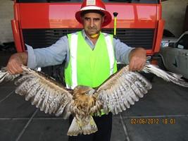 صورة مصغّرة